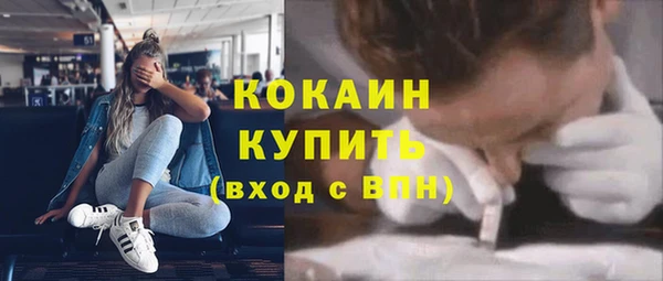 крисы Алзамай