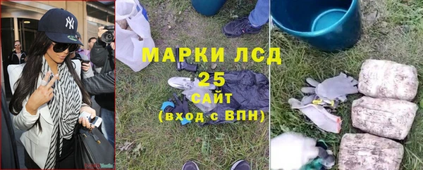 крисы Алзамай