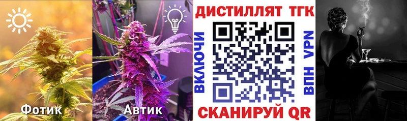 как найти наркотики  Москва  ТГК вейп с тгк 